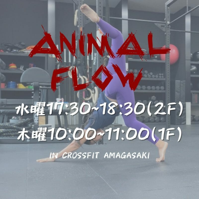 Animal Flowクラス開始のお知らせ